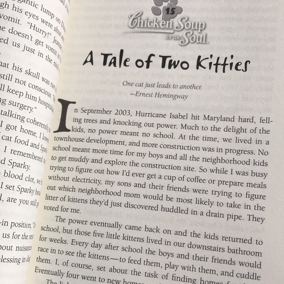 2/$10 Chicken Soup For The Soul | What I Learned From the Cat | 101 Stories - Picture 8 of 10